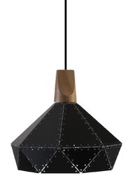 Laulumaa Eelis kattovalaisin